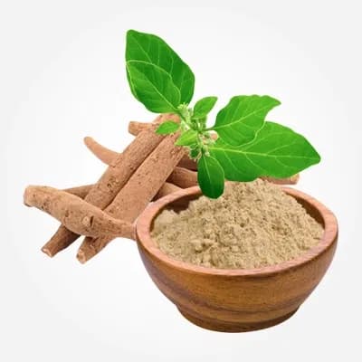 Ashwagandha Extract