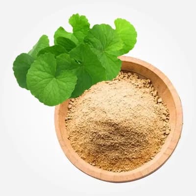 Bacopa Extract