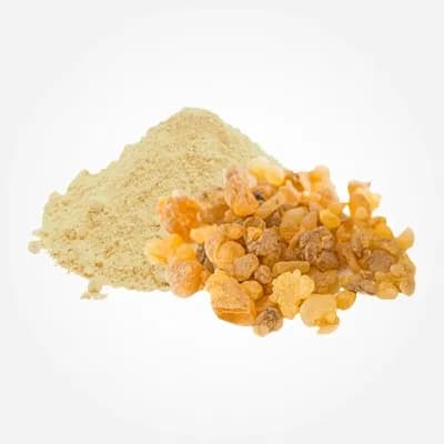 Boswellia Extract