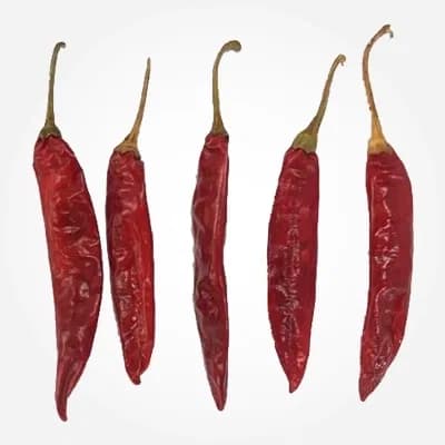 334 Sannam red chilli variety