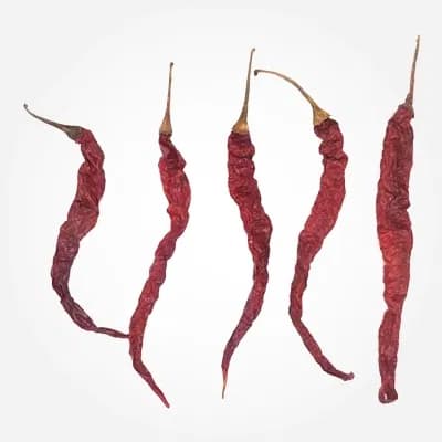 355 red chilli variety