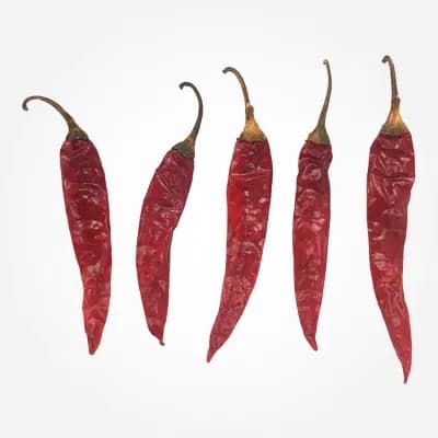 Armour chilli variety