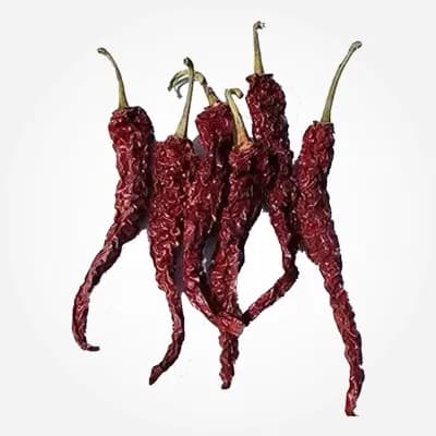 Bydagi chilli with rich color