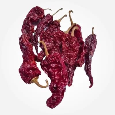 Dabbi Bydagi chilli with rich color