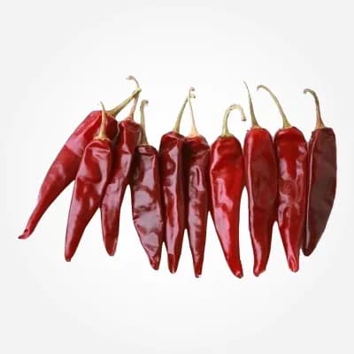Indam No 5 red chilli