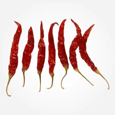 Teja S17 high pungency chilli