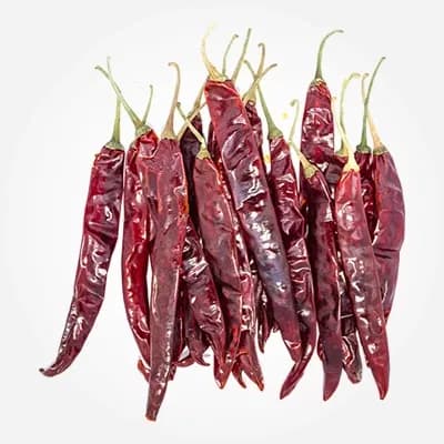 Wonder Hot chilli variety