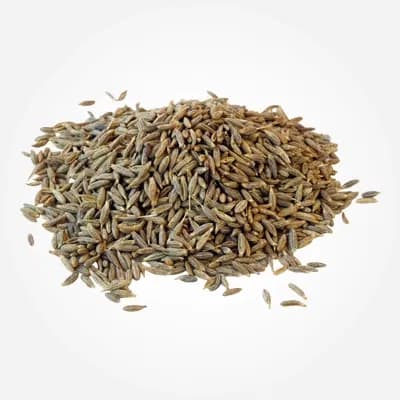 European Quality cumin variety