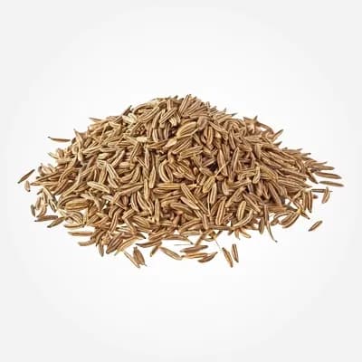 Singapore Quality cumin variety