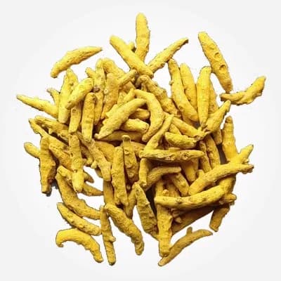 Turmeric Erode variety
