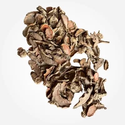 Turmeric Lakadong variety