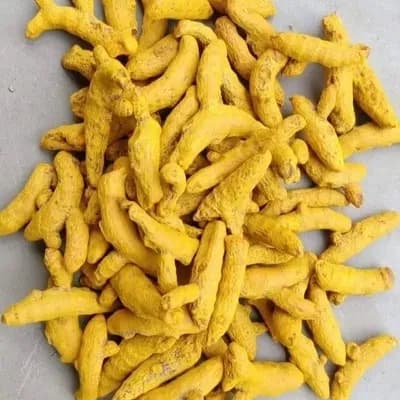 Turmeric Salem Sangli variety