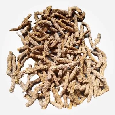 Turmeric Vizag variety