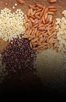 Grains