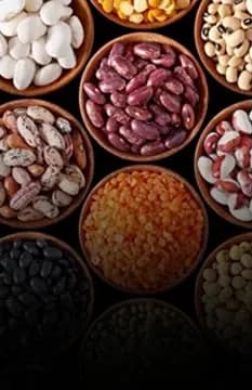Pulses
