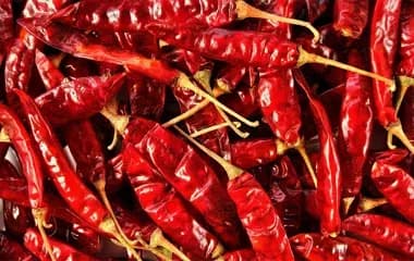Chilli