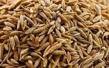Cumin