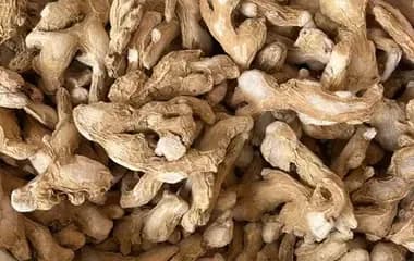 Dried Ginger