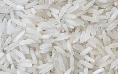 Rice