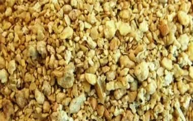Soybean Doc
