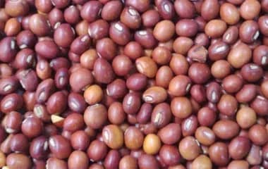 Red Gram