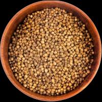 Coriander